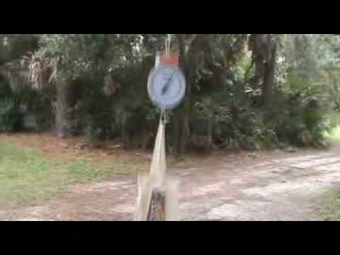 Youtube: 9/11 Experiments: Newton vs. NIST