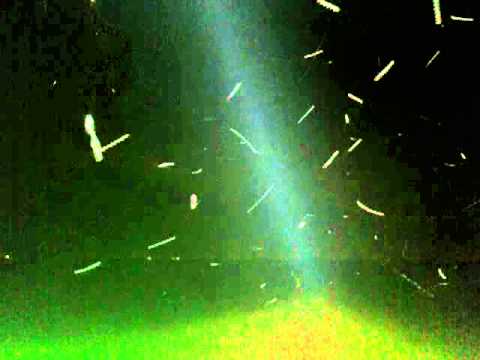 Youtube: Interesting Video of Flying Insects At Night .MOV