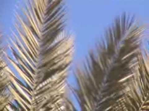 Youtube: PROPHET YAHWEH - Phoenix_Sighting8