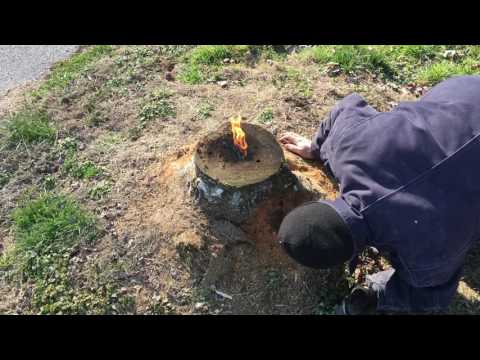 Youtube: The most amazing way to remove a stump!! E16