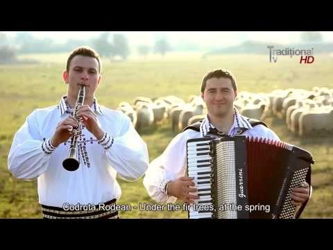 Youtube: музикэ молдовеняскэ ноуэ - новый молдавский музыка - muzică moldovenească nouă
