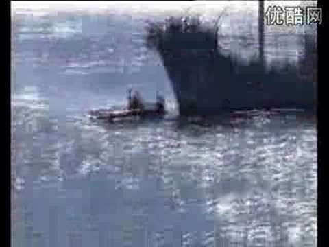 Youtube: greenpeace in action against whaling fleet
