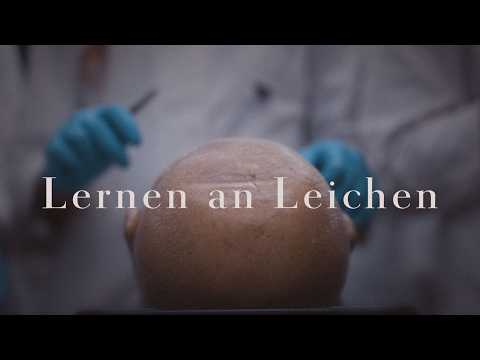 Youtube: Das sieht sonst nur, wer Medizin studiert.