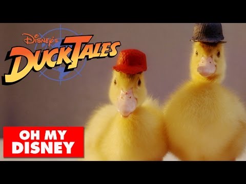 Youtube: DuckTales Theme Song With Real Ducks | Oh My Disney IRL