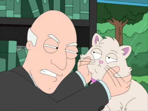 Youtube: Bin ladens cat does not care for Patrick Stewart.