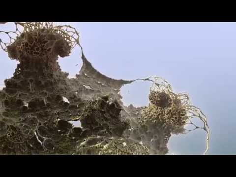 Youtube: Mandelbulb 3D Little Big World Flythrough