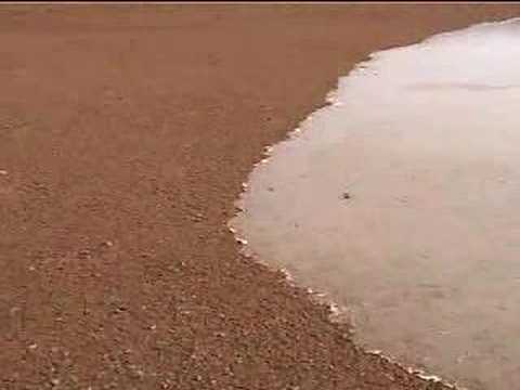 Youtube: Moving Rocks of Death Valley's Racetrack Playa