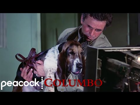 Youtube: Columbo's Dog Loves TV | Columbo