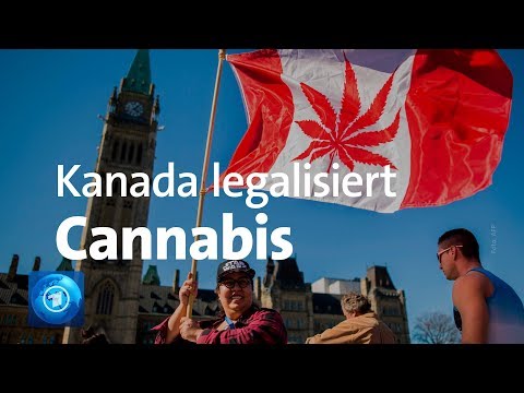 Youtube: Cannabis in Kanada - Anbau, Verkauf und Konsum legalisiert