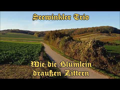 Youtube: Seewinkler Trio - Wie die Blümlein draußen Zittern