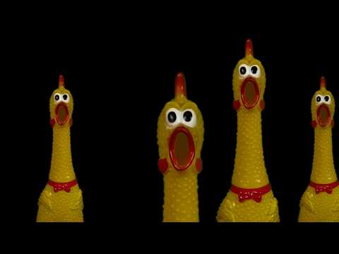 Youtube: Bohemian Rhapsody - Mr.Chicken (cover)