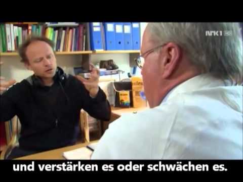 Youtube: Harald Eia, Das Gleichstellungs-Paradox (2)