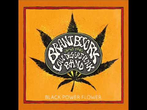 Youtube: Brant Bjork and the Low Desert Punk Band - Ain't No Runnin'