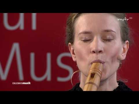 Youtube: MDR Doku Ein irrer Hauch von Welt 2017 Rudolstadt-Festival