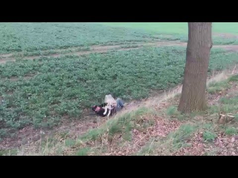 Youtube: Wolf, Mensch Angriff an der A1