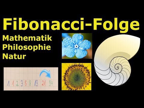 Youtube: Fibonacci-Folge | Mathematik, Philosophie & Natur [Weltformel?] | Lehrerschmidt