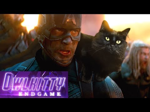 Youtube: Avengers Endgame with my cat OwlKitty