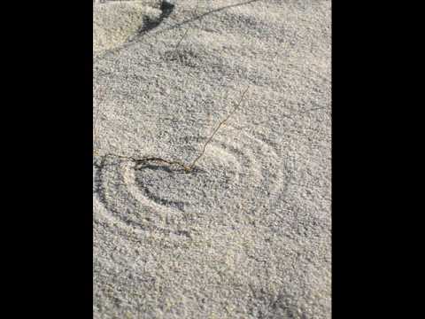 Youtube: Belinda Carlisle - Circle in the sand