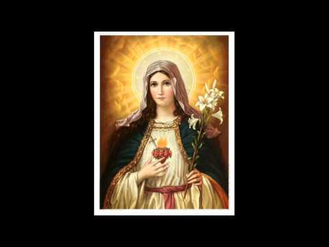 Youtube: Chant of the Templars - Salve Regina