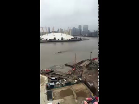 Youtube: Mysterious Giant Creature/Object In The Thames