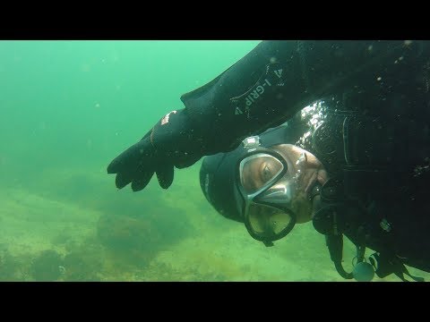 Youtube: Strandtauchgang Börgerende Ostsee