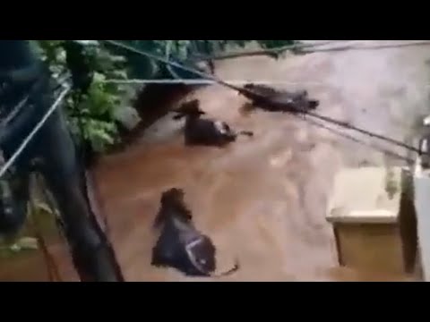 Youtube: Torrential rains caused flooding, landslides damaged properties and washed away animals in Tiraputi