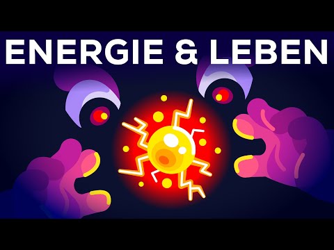 Youtube: Warum lebst du? - Energie & Entropie