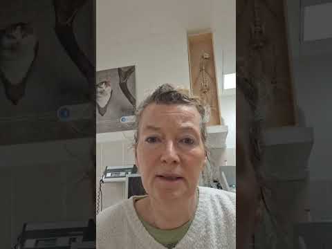 Youtube: Die Veröffentlichung wird verhindert. Das ist Zensur. #tierschutz #hope #timmy #wal