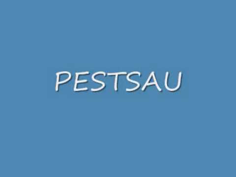 Youtube: Pestsau