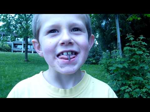 Youtube: Andreas frisst einen Regenwurm