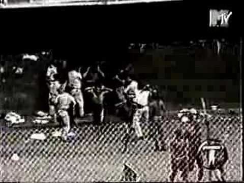 Youtube: Die Toten Hosen - Pushed Again