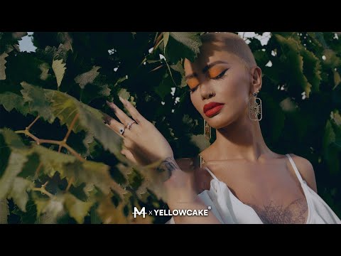 Youtube: Dafina Zeqiri ft Lumi B - Lule Lule