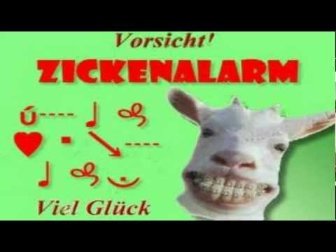 Youtube: zickenalarm was geht ab^^