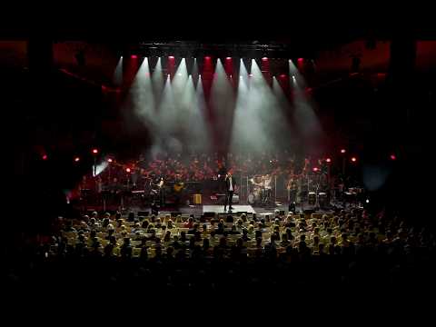 Youtube: The Cat Empire - Bulls (Live im Sydney Opera House) (Offizielles Live-Video)