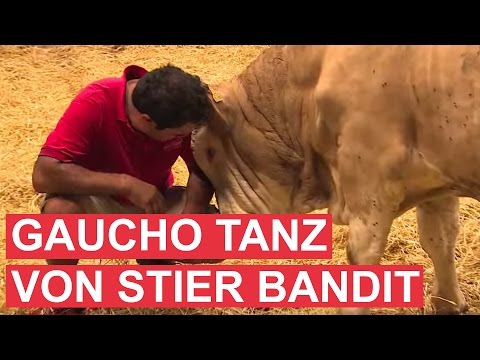Youtube: Gaucho-Tanz von Stier Bandit als Dank!