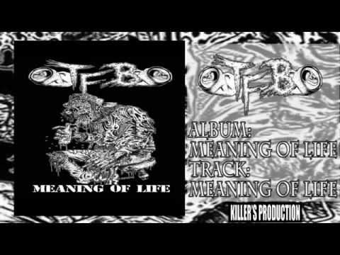 Youtube: Task Force Beer - Meaning Of Life (Single)
