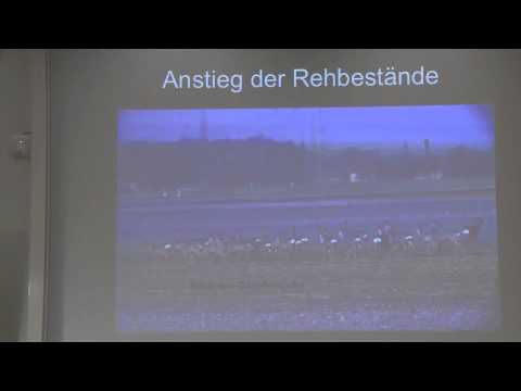 Youtube: Jagd Reguliert nicht - Vortrag von Prof. Dr. Josef H. Reichholf