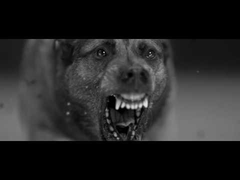 Youtube: Woodkid - Iron (Official Video)