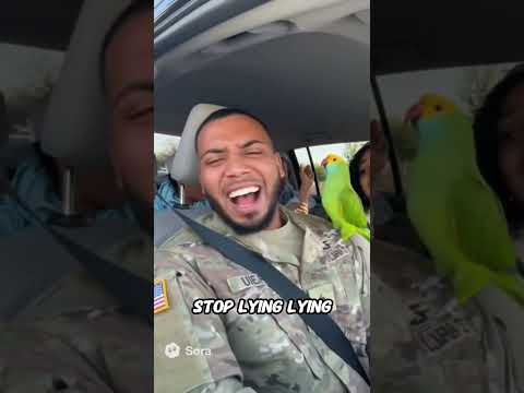 Youtube: the Parrot Snitched on His Whole House