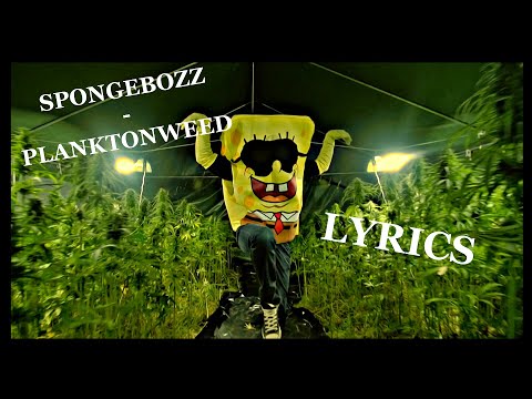 Youtube: SPONGEBOZZ - PLANKTONWEED | LYRICS