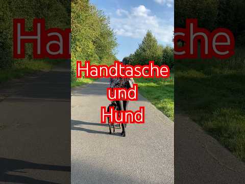 Youtube: Hund und Handtasche⁉️