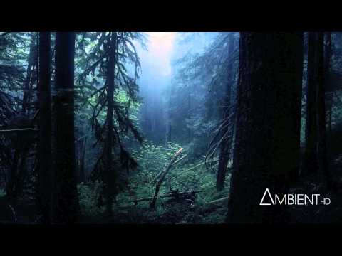 Youtube: Carbon Based Lifeforms - Interloper (Full Album)