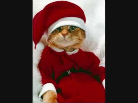 Youtube: Jonny Hill - Sag Mama warum hat der Weihnachtsmann...