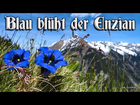 Youtube: Blau blüht der Enzian [German folk song][+English translation]