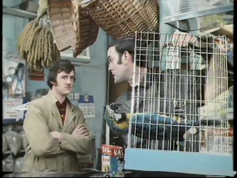 Youtube: Monty Python: The Parrot Sketch & The Lumberjack Song movie versions HQ