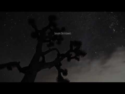 Youtube: Charles Bukowski "Their finest art"