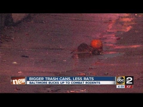 Youtube: Baltimore City Rat Problem