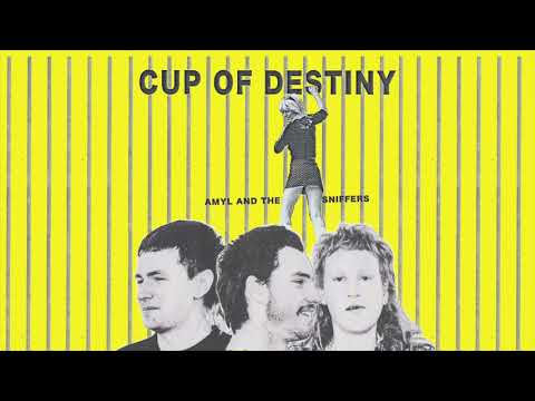 Youtube: Amyl and The Sniffers  - Cup Of Destiny (Official Audio)