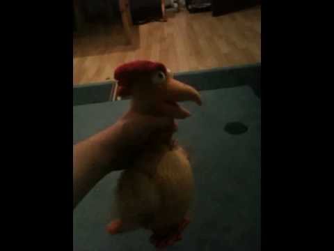 Youtube: schreiendes,singendes und tanzendes Huhn!!!! Total lustig!!!!!