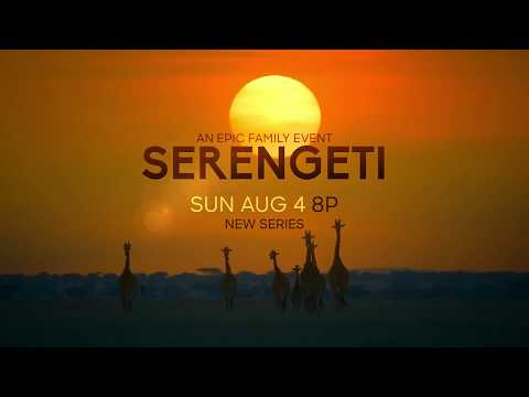 Youtube: Serengeti | Official Trailer - Narrated by Lupita Nyong'o